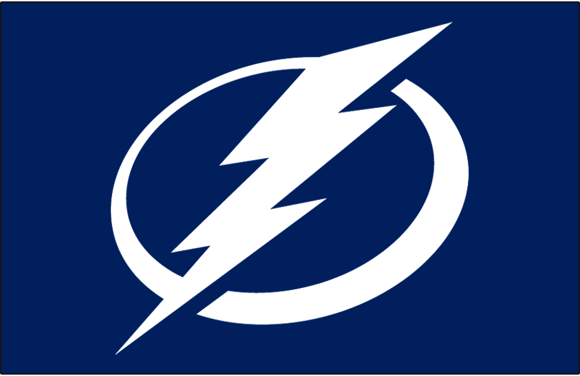 Tampa Bay Lightning 2011-Pres Jersey Logo t shirts iron on transfers...